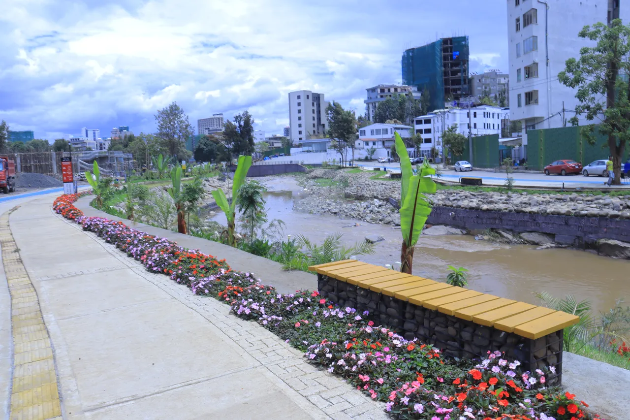 Landscaping design